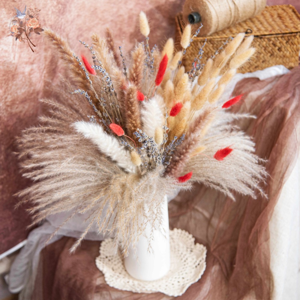 Natural Pampas Lavender Dried  - Pampas Grass Decor ulasan dan harga
