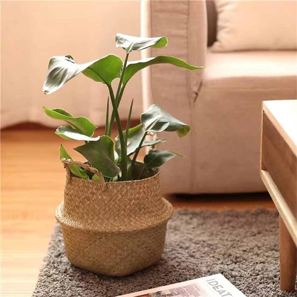 Plant Basket with Handles Wick - Rattan Plant Basket ulasan dan harga