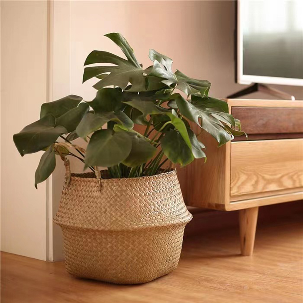 Plant Basket with Handles Wick - Rattan Plant Basket ulasan dan harga